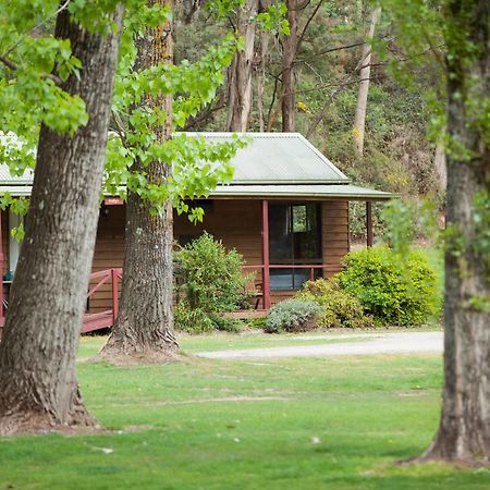 Beechworth Holiday Park Kültér fotó