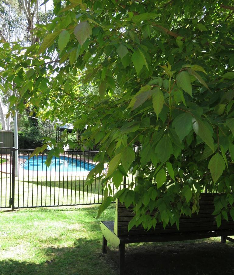 Beechworth Holiday Park Kültér fotó