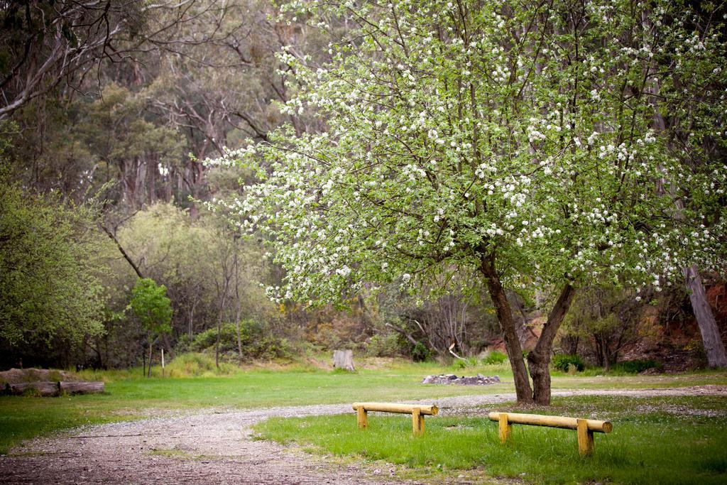 Beechworth Holiday Park Kültér fotó